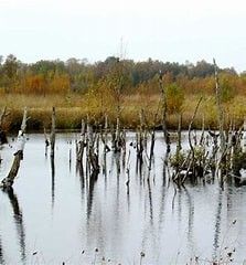 BArgerveen